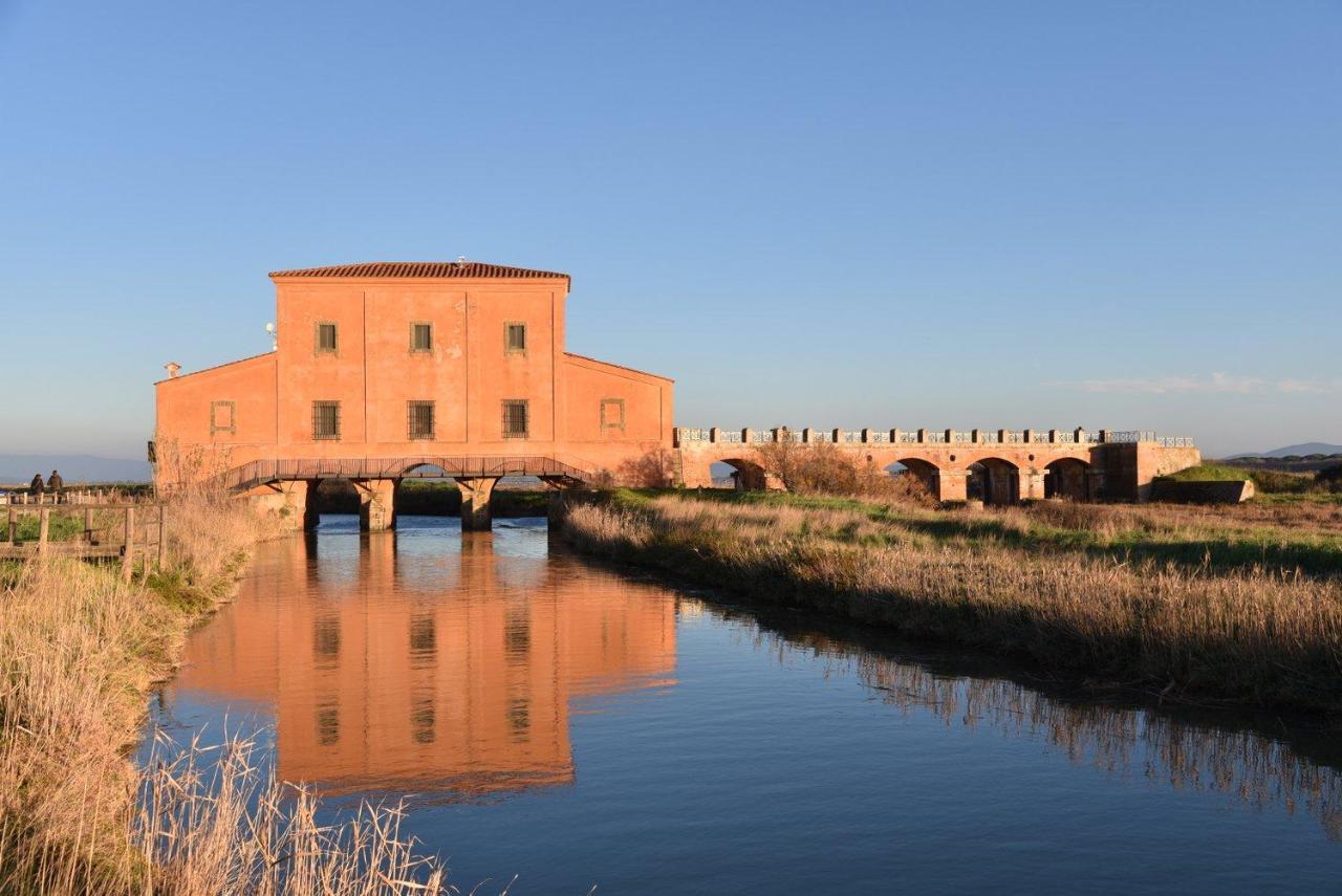 Appartamento Bell'Umore Castiglione della Pescaia Zewnętrze zdjęcie